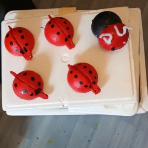 Coccinelle