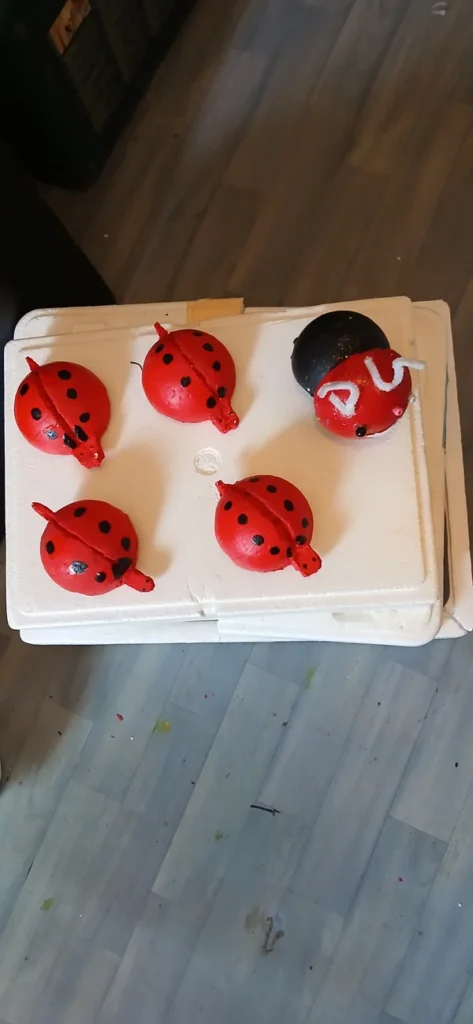 Coccinelle